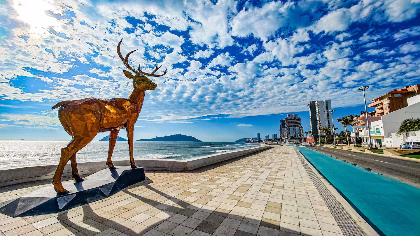 Living room with large screen for family movie nights